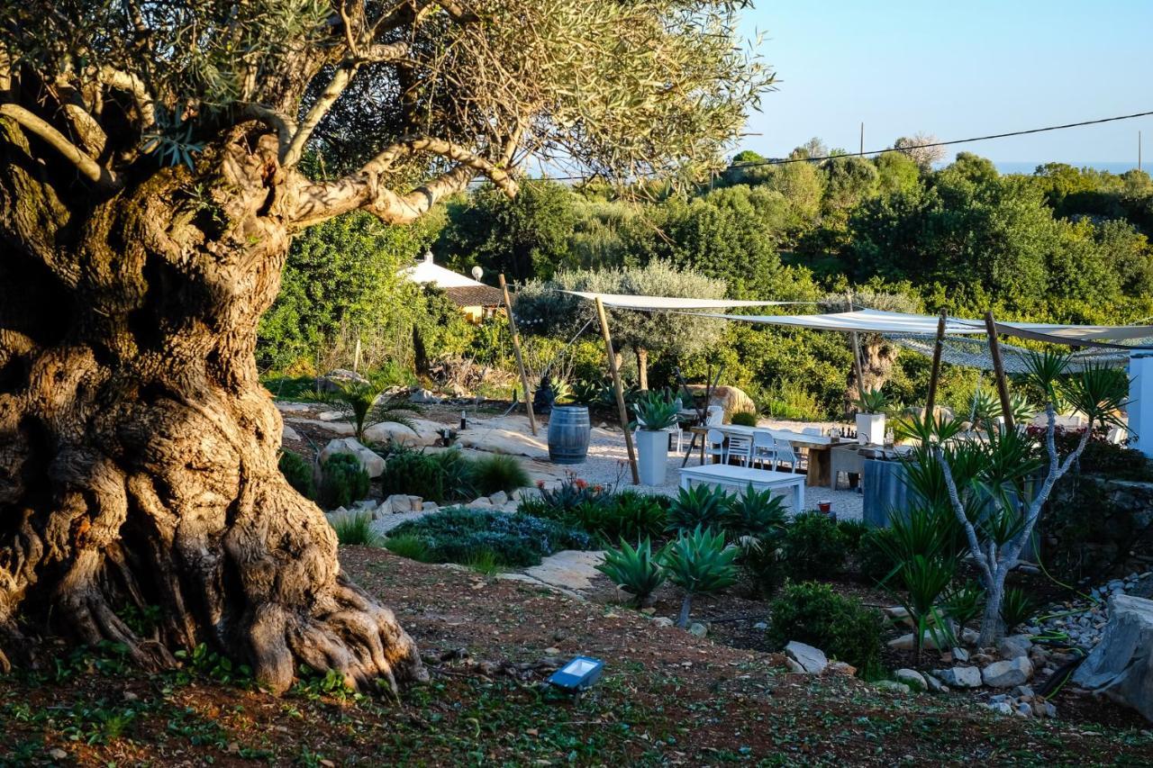 Casa Verdazul Tavira Luaran gambar